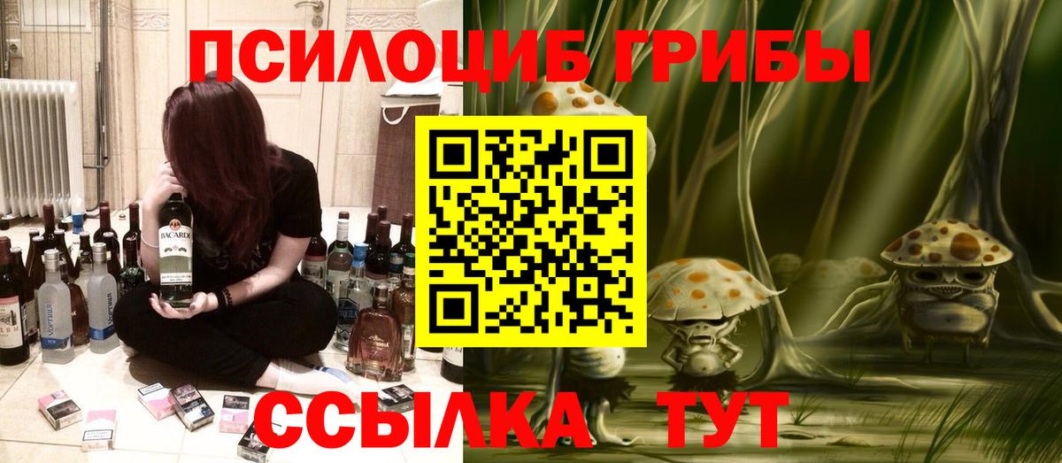 Галлюциногенные грибы MAGIC MUSHROOMS  Вход с VPN  Котельники 